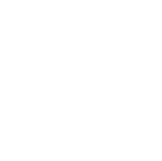 logo ORLEN
